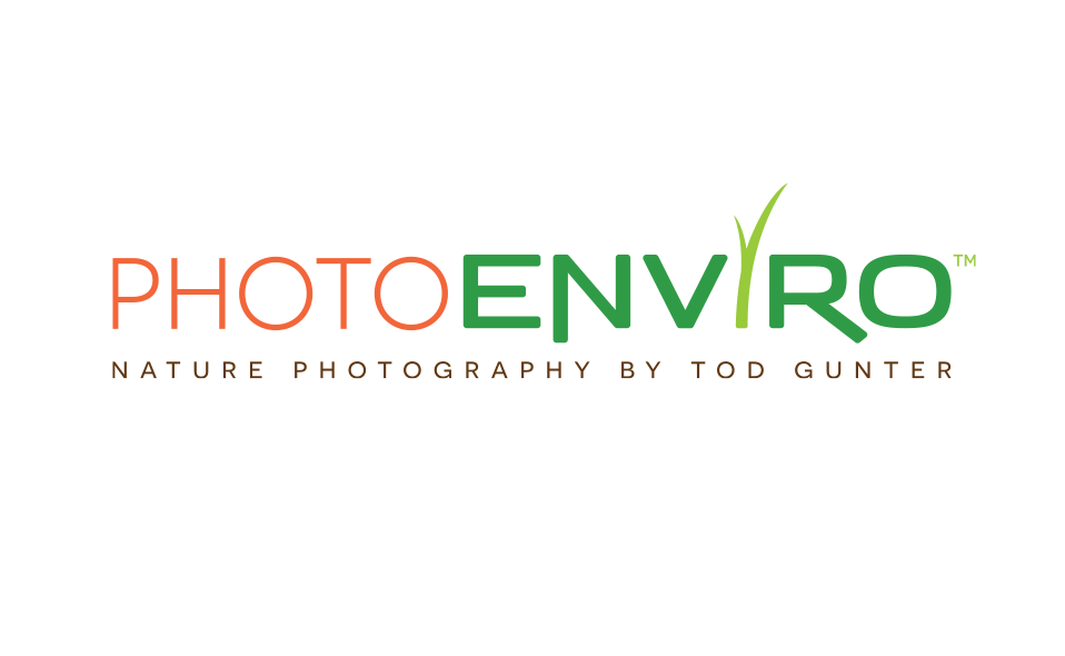 Logo for my part-time nature photography business.