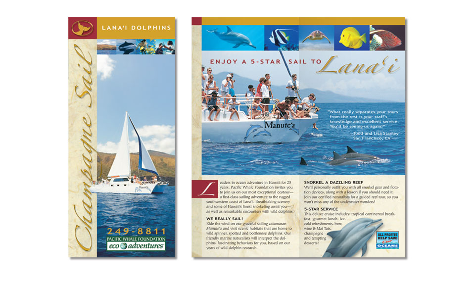 Rack card brochure for Pacific Whale Foundation on Maui.